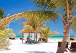 An Unwind & Wellness Escape to Mexico