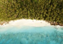 A Luxe Kenyan Safari and Seychelles Honeymoon