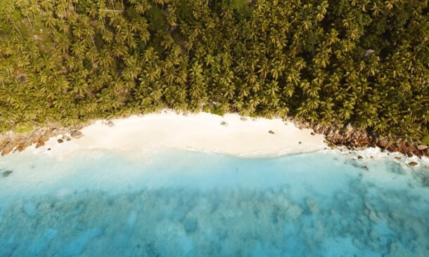 A Luxe Kenyan Safari and Seychelles Honeymoon