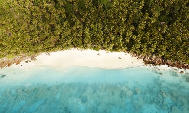 A Luxe Kenyan Safari and Seychelles Honeymoon