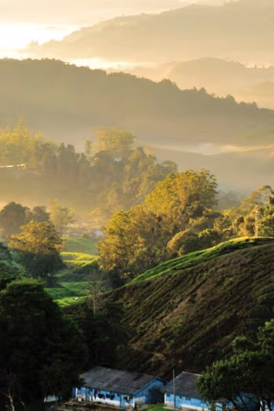 Malaysian Highlands, Heritage and Island Escape