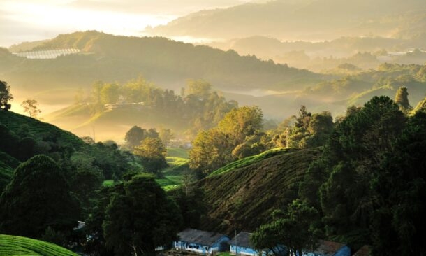 Malaysian Highlands, Heritage and Island Escape