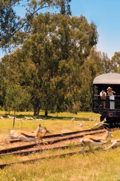 A Luxury Rail Journey Through Africa