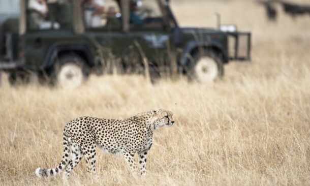 Ultimate Great Migration Safari & Zanzibar