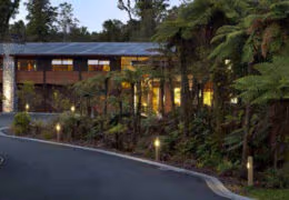 Te Waonui Forest Retreat