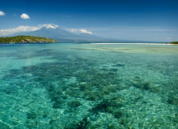 Pemuteran & West Bali National Park thumbnail