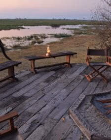 The best of Zambia and Botswana's wildlife