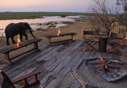 Incredible Zambia and Botswana Safari