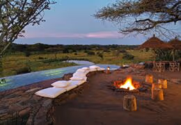 The Best of Tanzania: Your Private Migration Safari