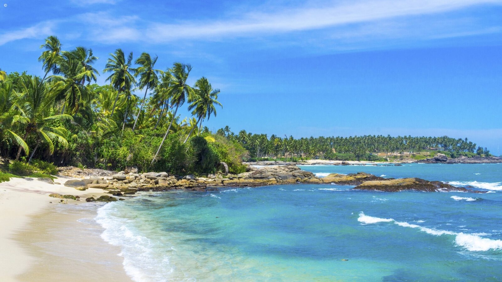 Tropical beach with turquoise water and leaning palm trees seen on luxury Sri Lanka vacations.
