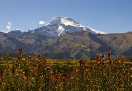 Signature Ecuador and Galapagos