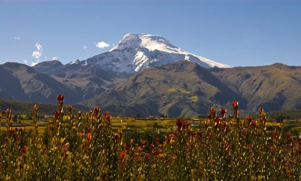 Signature Ecuador and Galapagos