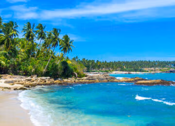 Tangalle thumbnail