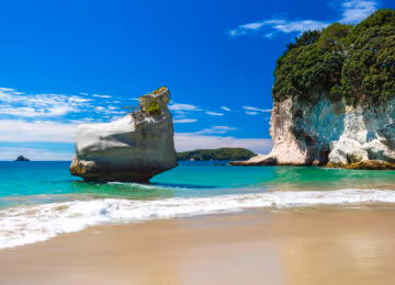 Coromandel thumbnail