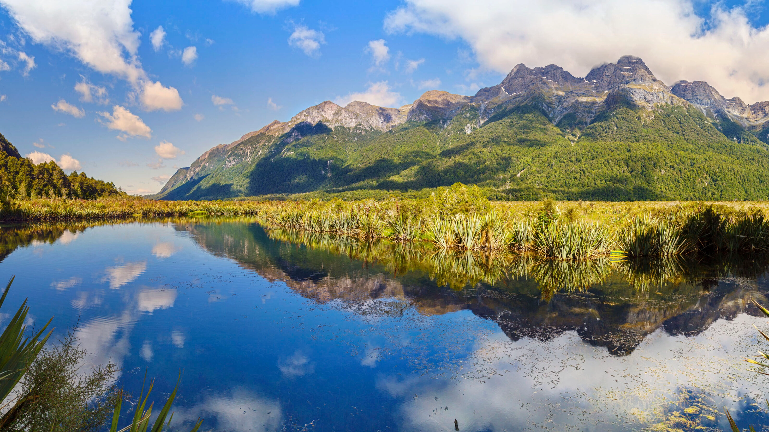 fiordland-national-park-new-zealand