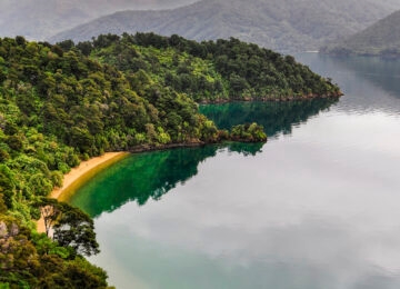 Marlborough Sounds and Wine Region thumbnail