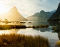 milford-sound-sunlight
