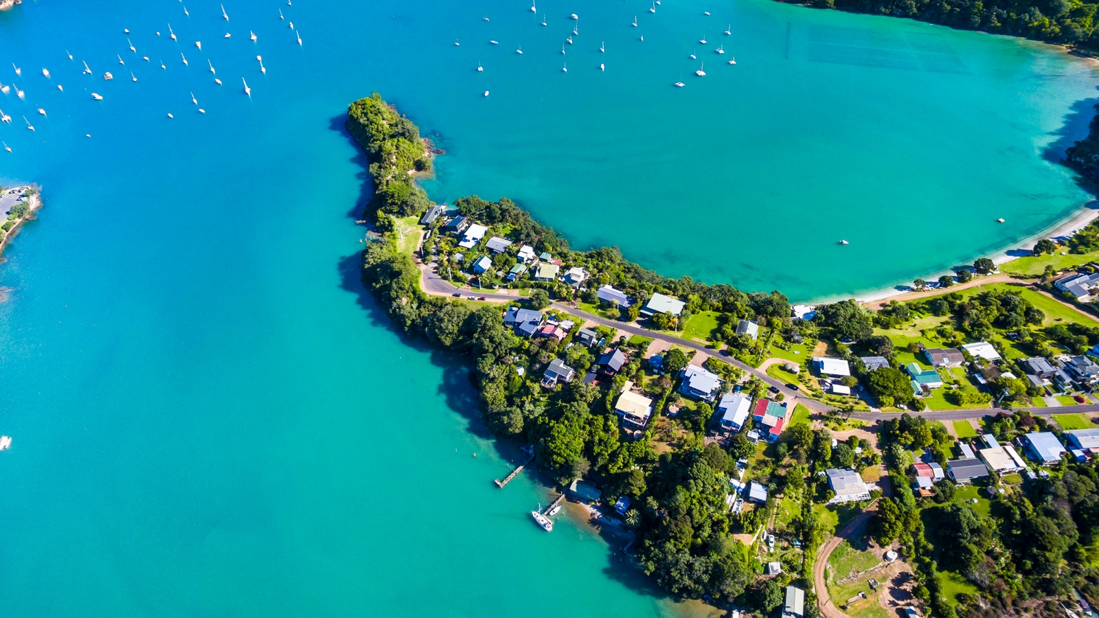 putaki-bay-waiheke