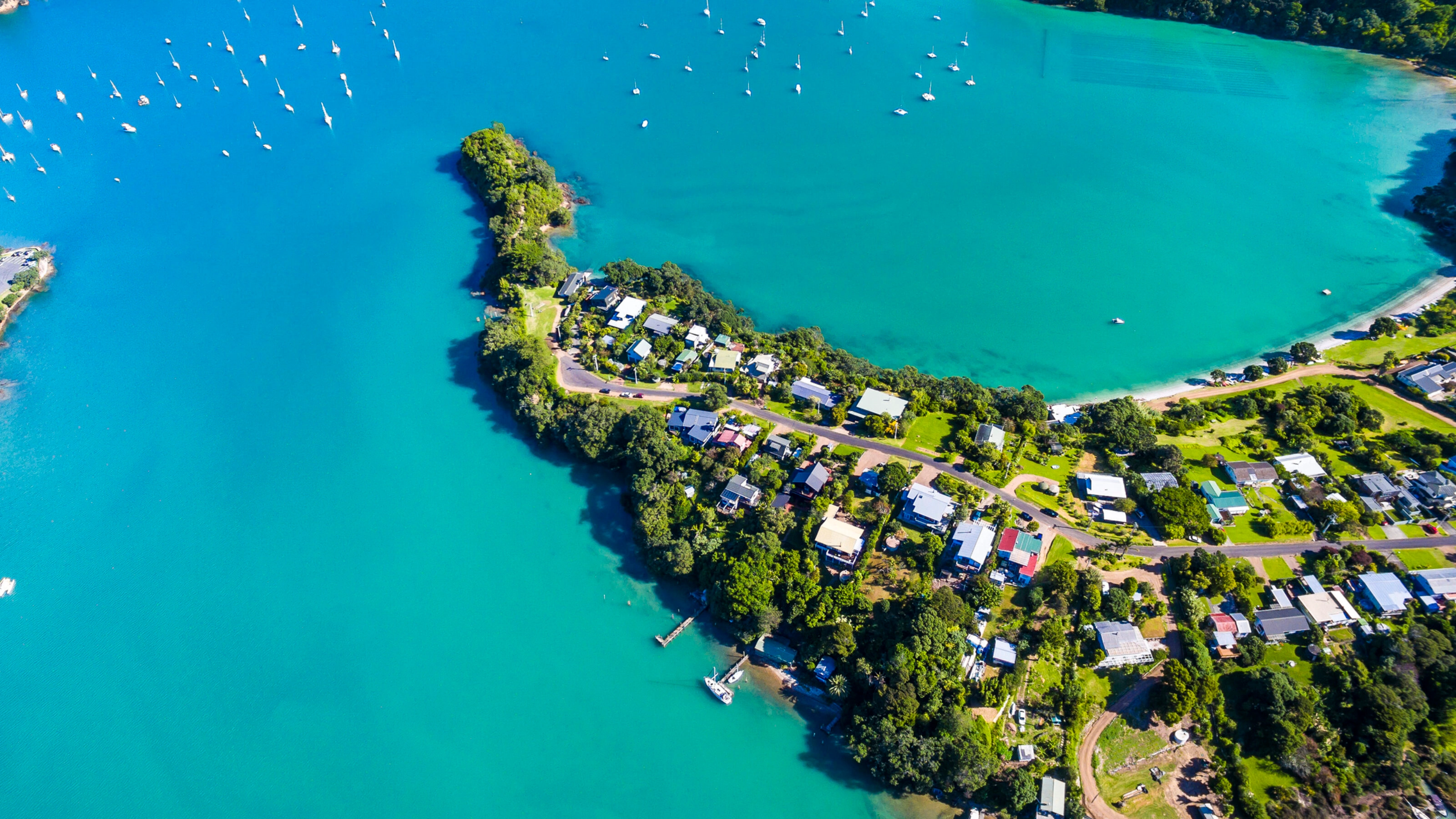 putaki-bay-waiheke