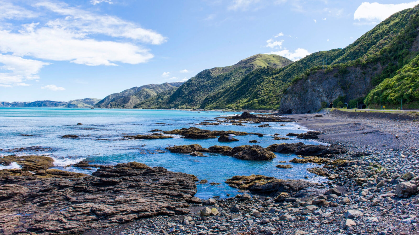 beachscape-kaikoura-new-zealand