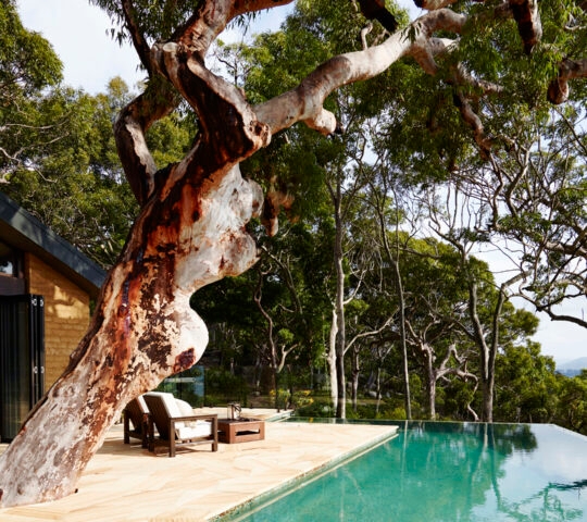 pretty-beach-house-pool