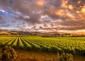 South Australia thumbnail