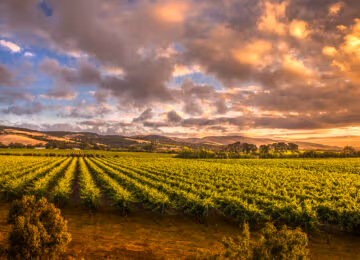 South Australia thumbnail