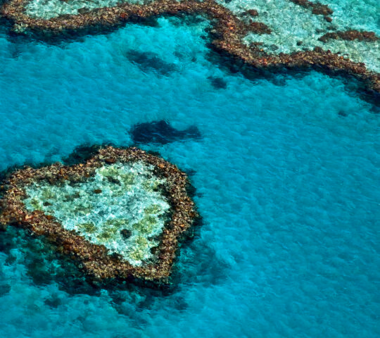 heart-reef-great-barrier-reef-whitsundays-australia