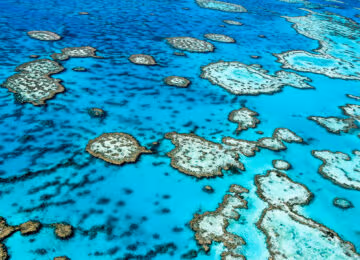 Great Barrier Reef and Northern Queensland thumbnail