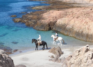 Bahia Bustamante thumbnail