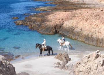 Bahia Bustamante thumbnail