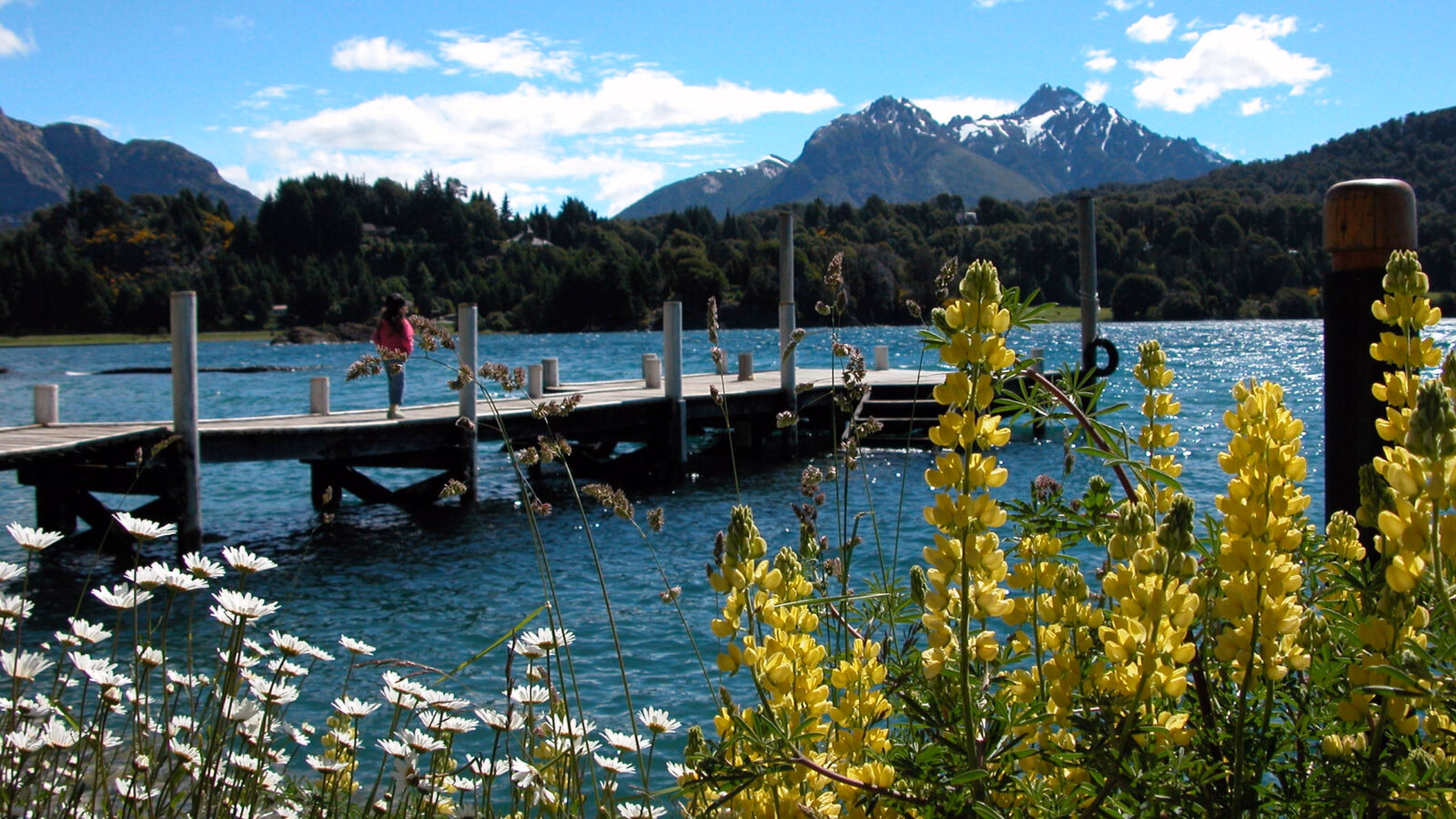 Argentina Lake District