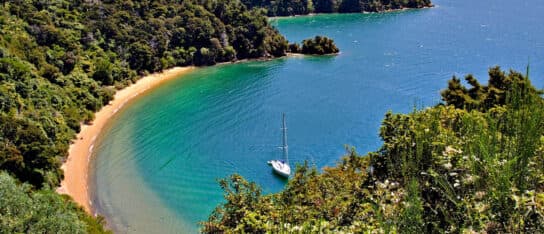 A high level view of a typical scenic beach scene, in Abel Tasman National Park, New Zealand