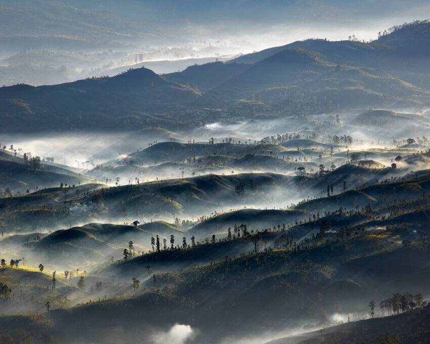 An aerial view of a valley with tea plantations filled with fog in the highlands of Sri Lanka.