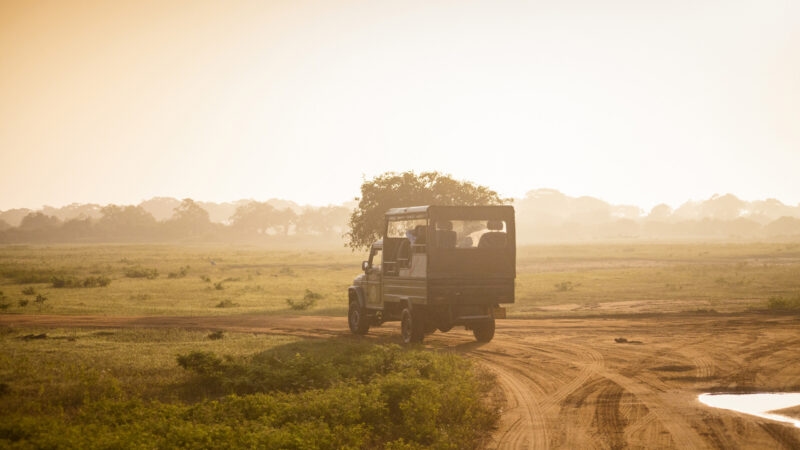 Safari car on sunrise in Yala National Park, Sri Lanka