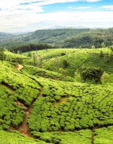 Classic Sri Lanka Circuit