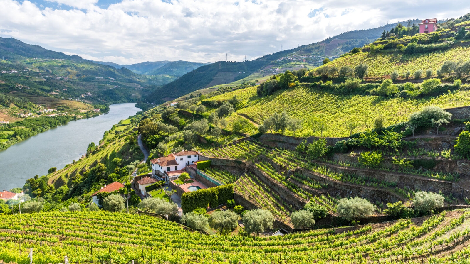 Vineyards and Landscape of the Douro river region in Portugal
