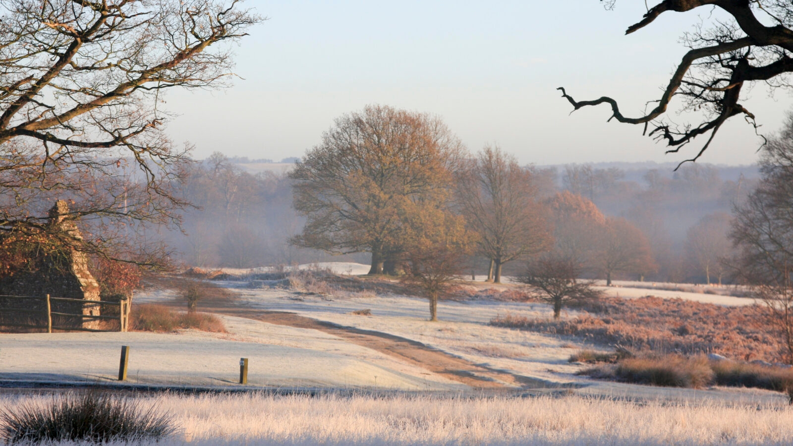 southern-england-landscape-frost