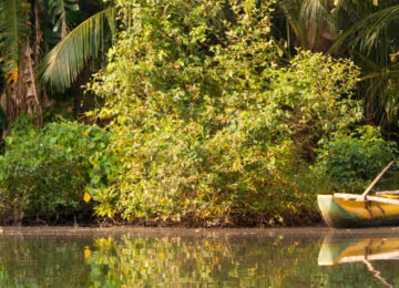 Koggala Lake thumbnail