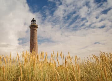 Skagen thumbnail