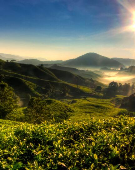 When is the Best Time to Visit Malaysia?