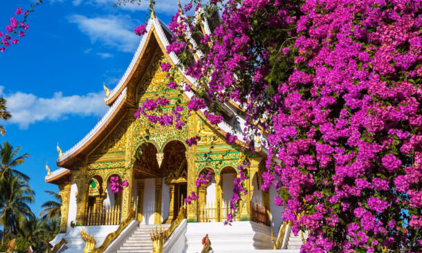 Great City Sightseeing