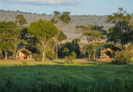 Little Governors’ Camp