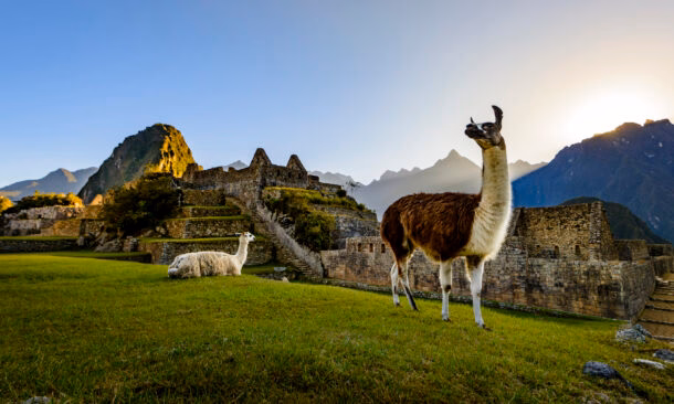 Peru and the Galápagos Luxury Tour