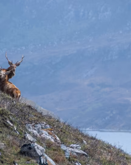 Best Alternative Wildlife Trips