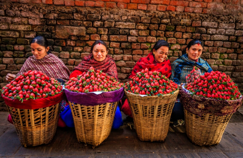 Women selling strawberries Nepal