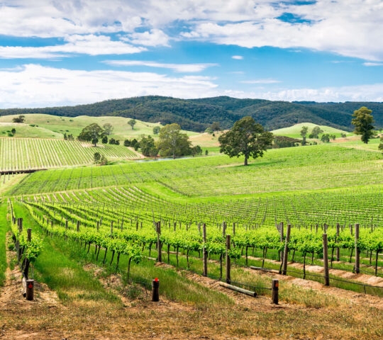 barossa-valley-australia