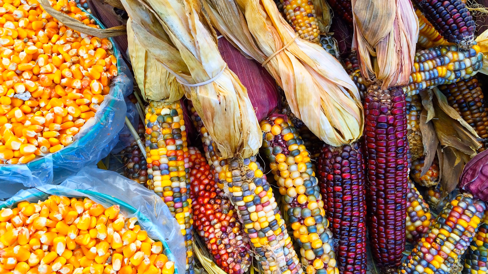 colourful-corn-peru