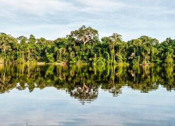 Southern Peruvian Amazon thumbnail