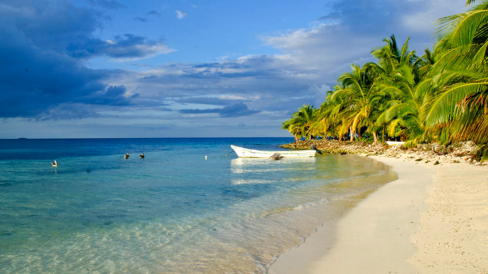 A white boat on a tropical beach with palm trees during luxury Belize trips.